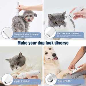 Tondeuse Chien Professionnelle 4 en 1