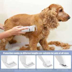 Tondeuse Chien Professionnelle 4 en 13 | ejends.com